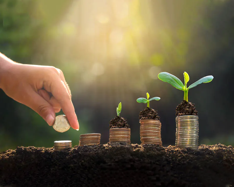 فريق التآخي